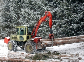 Holzernte bei winterlichen Wetterverhltnissen